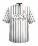 NYY Pinstripes