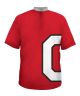 Ohio State Buckeye