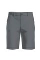 Gray Shorts - Men's